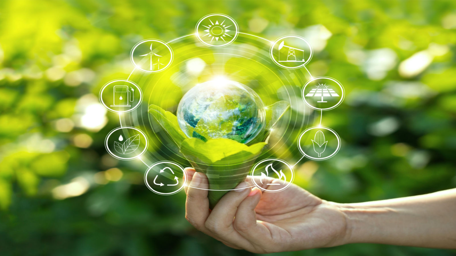 Sustainability Hub - image of a globe surrounded by green icons in the palm of a hand
